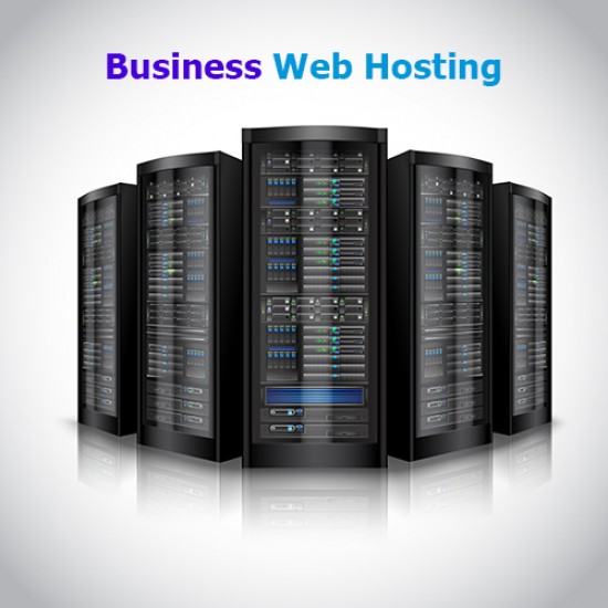 Business Hosting