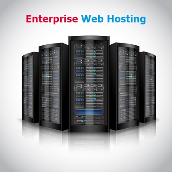 Enterprise Hosting