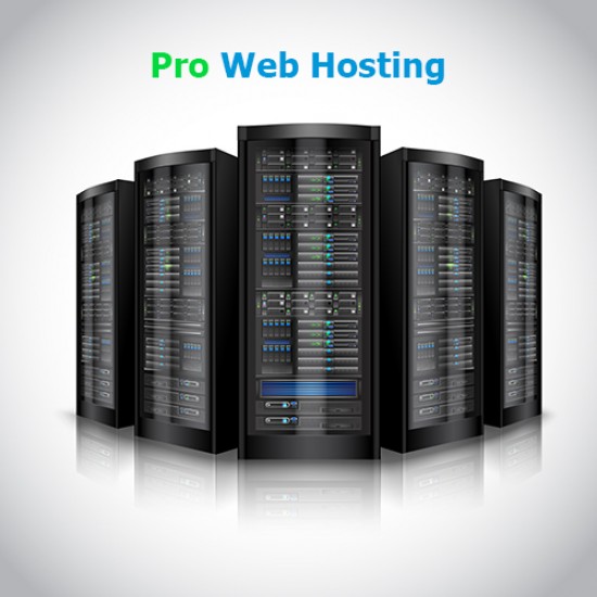 Pro Hosting